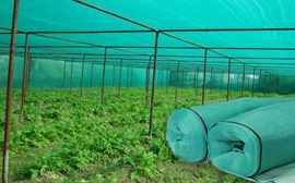 J. K. Farming Solution - Shed Nets